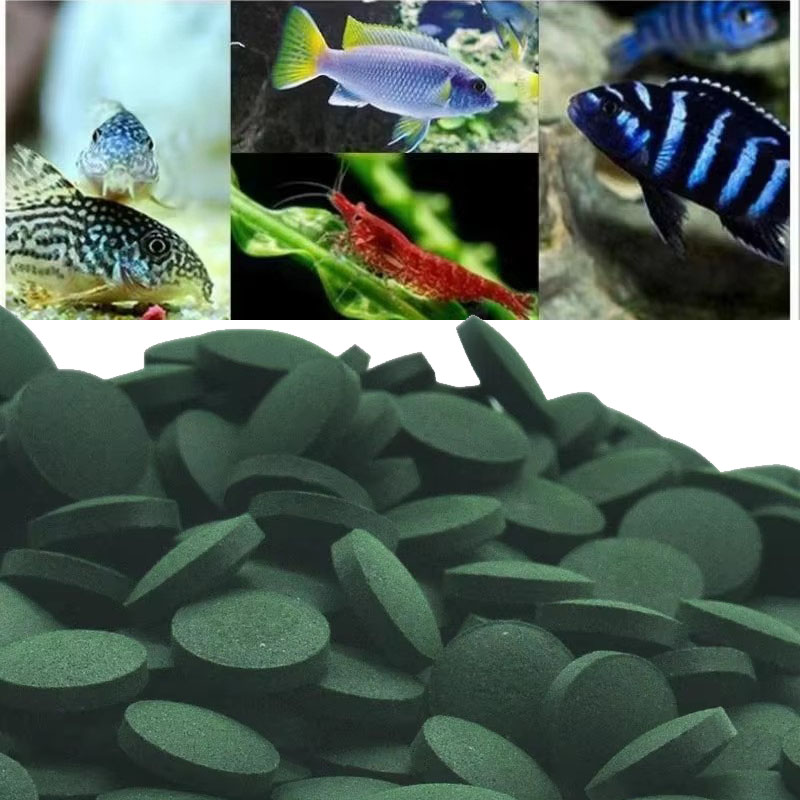 50/100/300/500 Stuks Spirulina - Spirulina Tablet Organic recensie en prijs