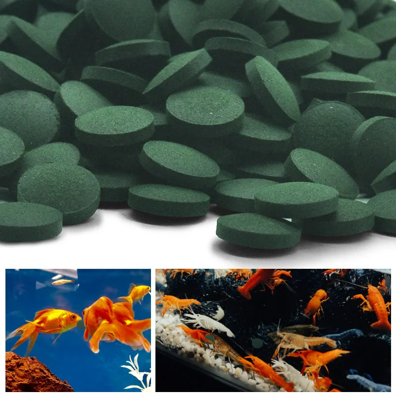 SIKEZHAN Spirulina Tabletten v - Spirulina Tablet Organic recensie en prijs